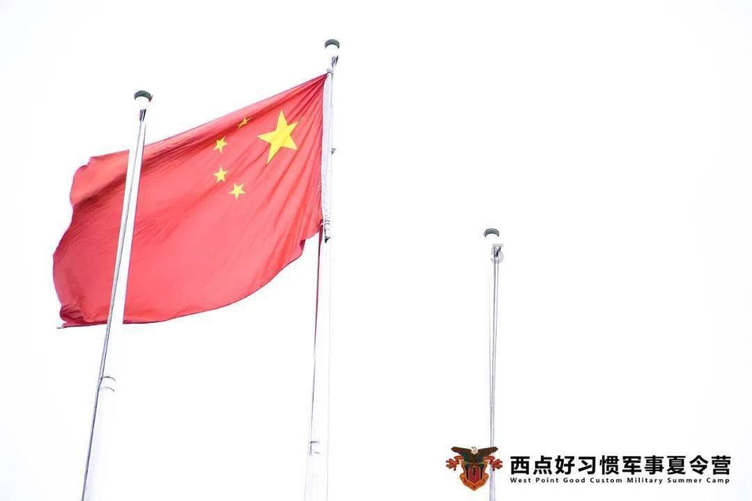 寻找萌小老虎